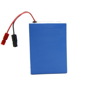 48v 20ah Lithium Ion Battery Pack